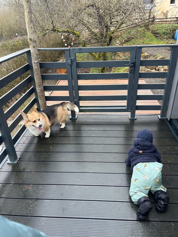 Family with Corgi documented during ordinary day in German villages