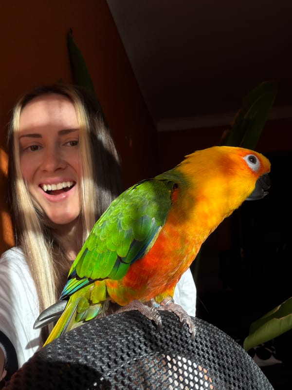 Sun Conure parrot photographed with woman in Khimki home