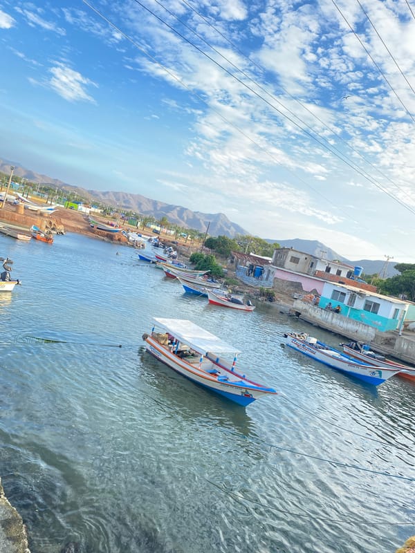 Beach visitor collects shells, takes photos in Juan Griego