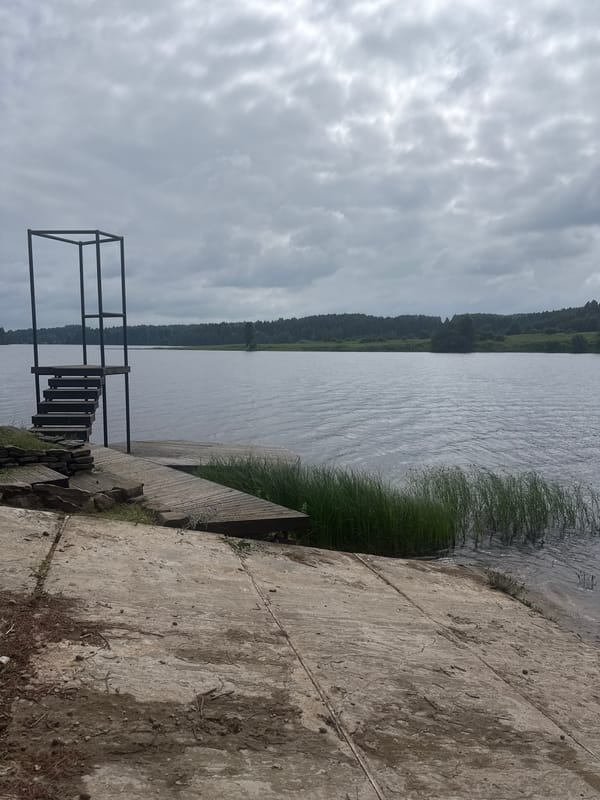 Lake day in Pozdyshki: docks, pine trees, and treetop walks
