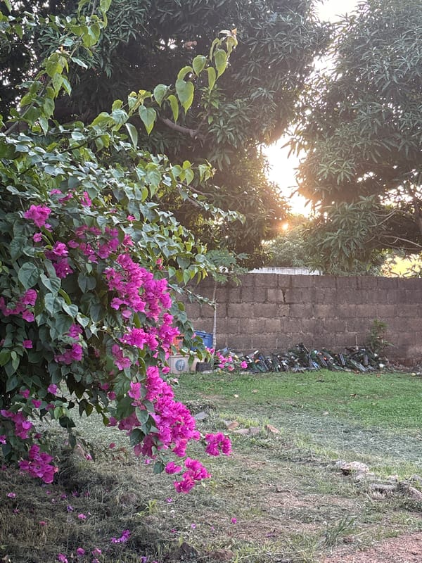 Evening scenes captured around Jos, Nigeria streets and nature