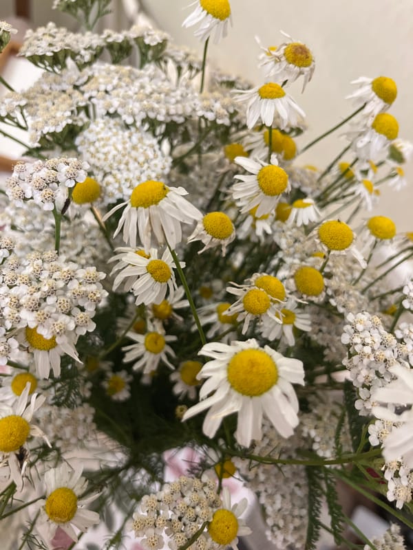 Fresh and artificial flower bouquets browsed in Ivanteyevka