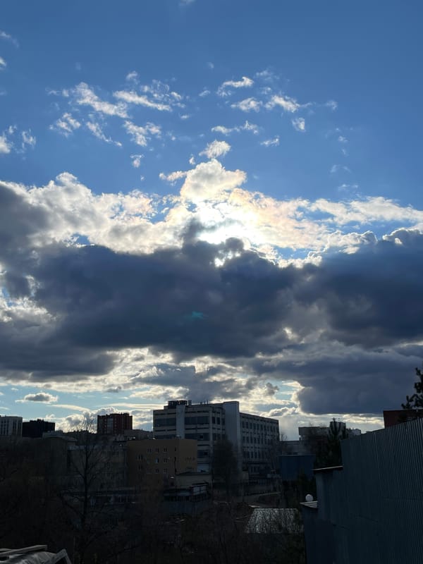 Everyday moments captured across Izhevsk during sunny afternoon