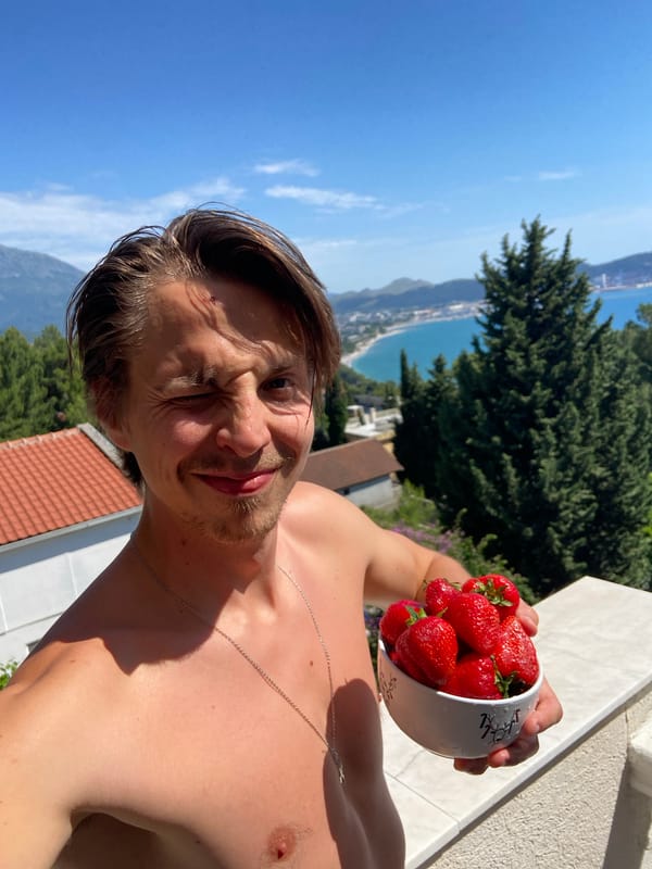 Man spotted with strawberries, tortoise in Montenegro village