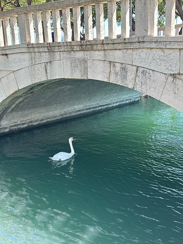 Tranquil morning scenes documented at Desenzano del Garda harbor