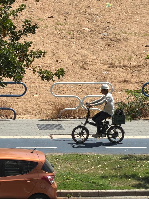 Everyday foot and micro-mobility traffic along an Ashdod greenway