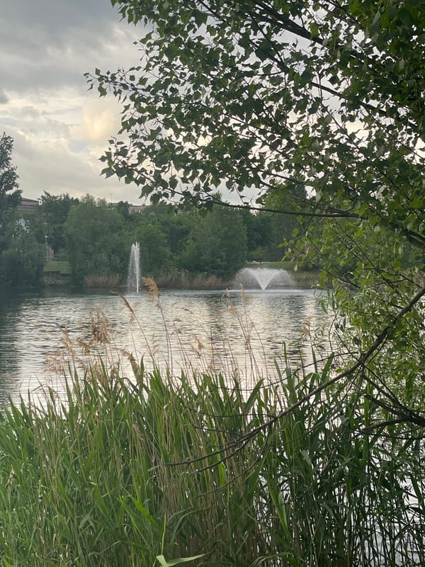 Fountain pond documented in Sofia park setting