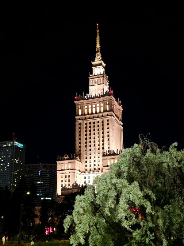 Warsaw skyline at night, wildflowers in the foreground