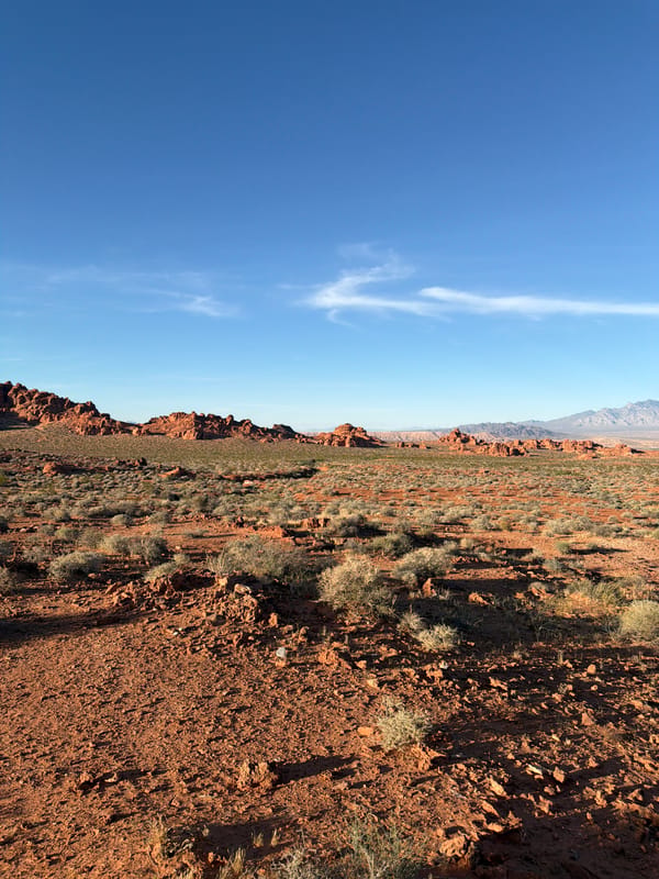 Desert landscape documented in Moapa Valley, Nevada