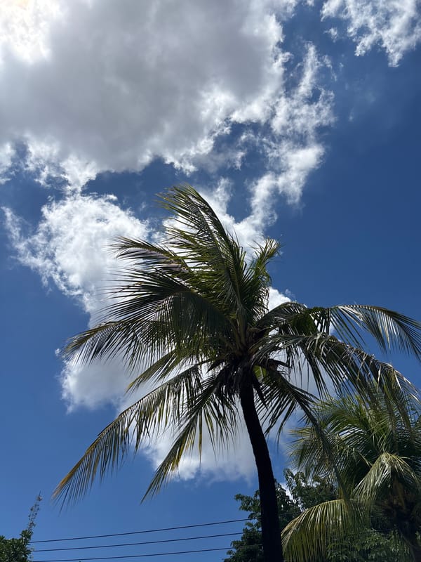 Morning scenes documented around South Denpasar, Indonesia