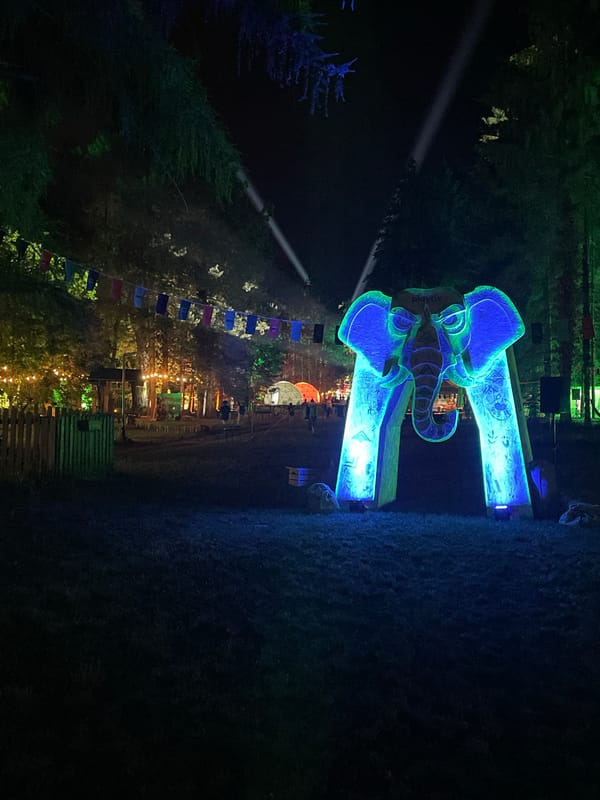 Elephant archway illuminates nighttime festival in Serbian municipality