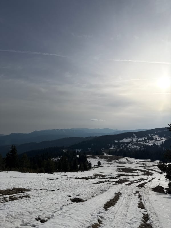 Winter landscape captured in Momchilovtsi, Bulgaria