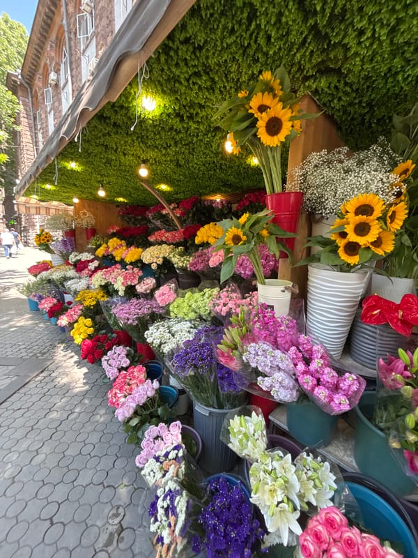 Morning scenes documented across Yerevan neighborhoods over three hours