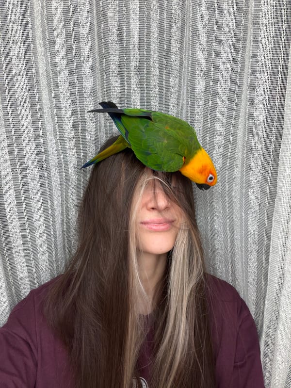 Woman shares tender morning moment with sun conure parrot