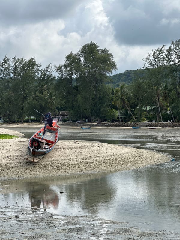 Low tide morning on Ko Pha Ngan with a beach-roaming dog