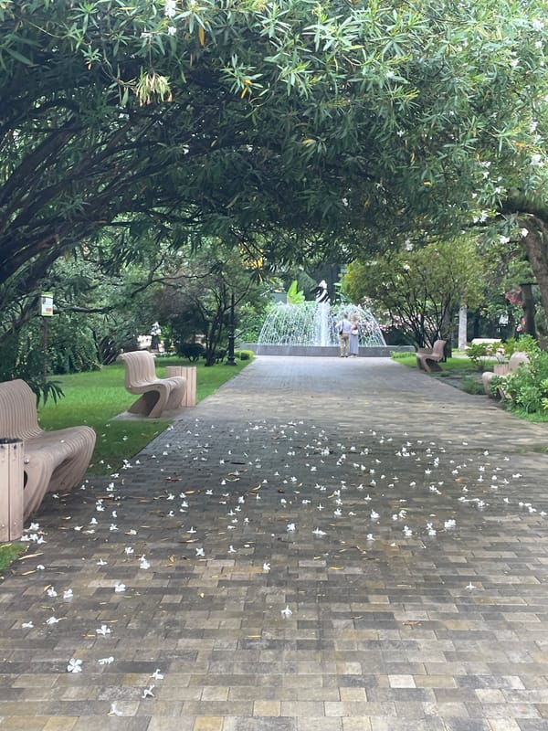 Sochi park fountain and botanical gardens on a summer morning