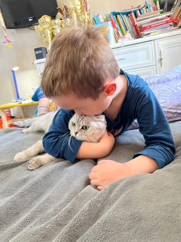 Family moments with Scottish Fold cat documented in Cheboksary