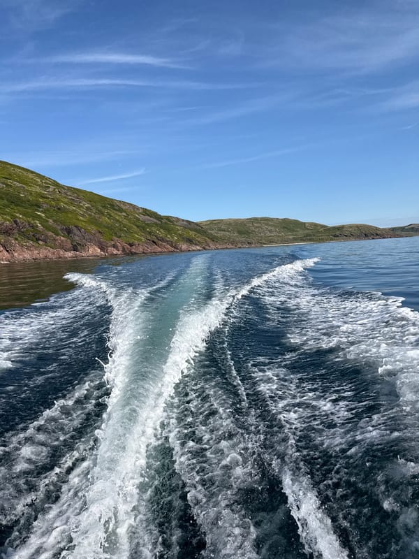 Motorboat trip along the rugged Barents Sea coast near Teriberka