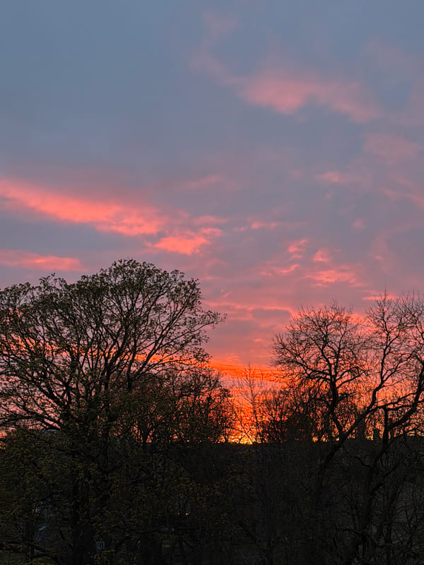 Sunset displays pink clouds over Riga, Latvia