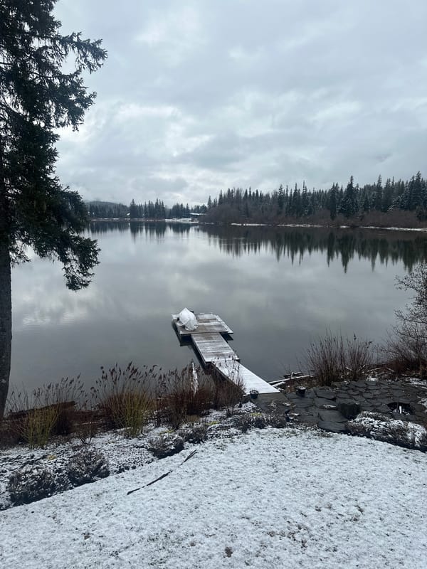 Tranquil lake scene captured at Whistler dock
