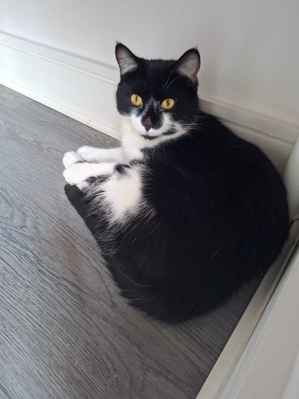 Event
