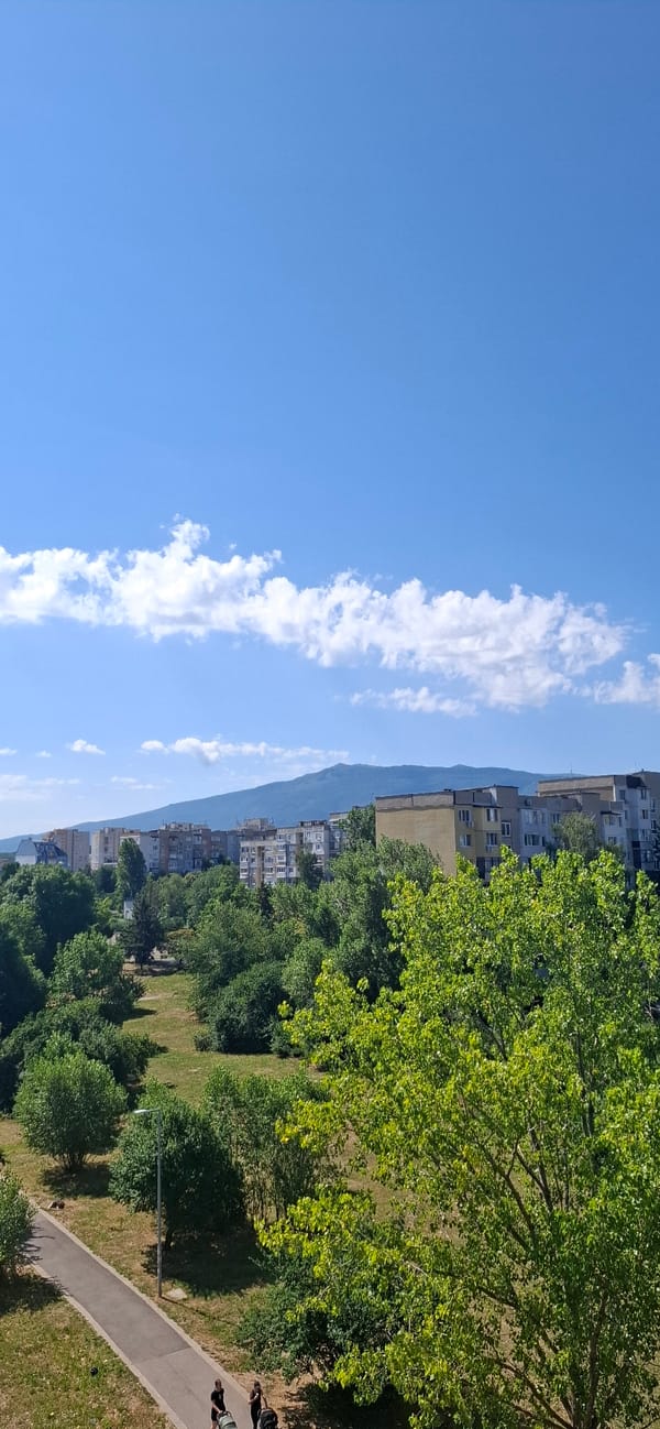 Sofia summer morning: city views, greenery, and a blooming carnation