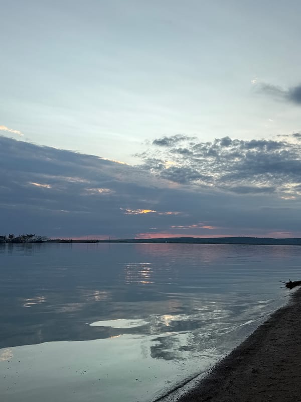 Lakeside sunset hang with forest trails nearby