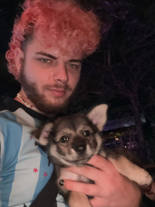 Pink-haired person and puppy documented during Đà Nẵng sunset evening