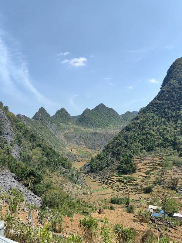 Morning views captured of terraced mountain landscape in Vietnam
