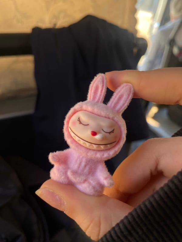 Pink bunny toy held in Russia morning scene