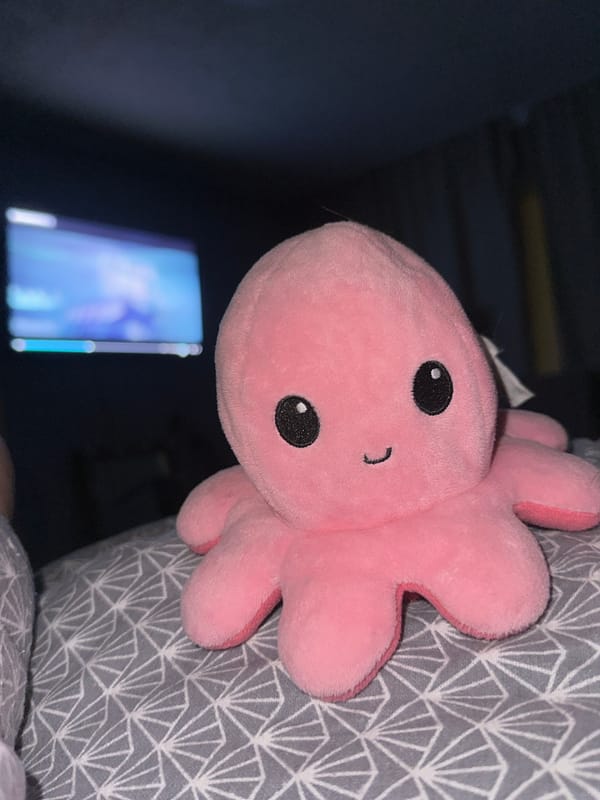 Pink plush octopus toy photographed in Liepaja