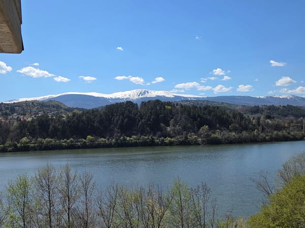 Spring scene captured at Pancharevo lake, Bulgaria