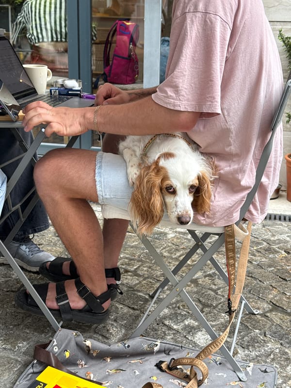 Casual moments around Belgrade on a July morning