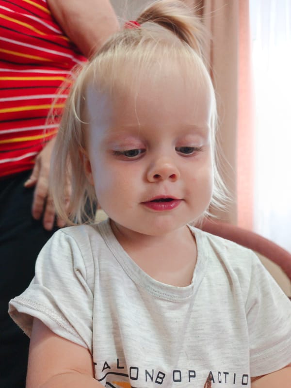 Quiet afternoon in Medvedyovka: dogs, kids, and countryside life