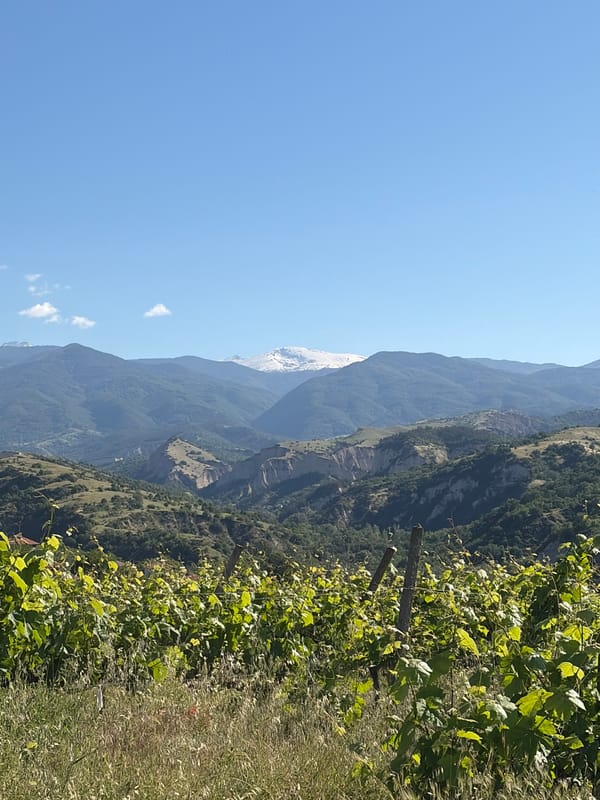 Morning vineyard landscape documented across mountainous rural settlement