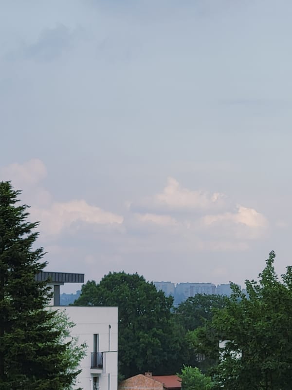 Scottish Fold cat chills indoors while cloudy cityscape sits outside