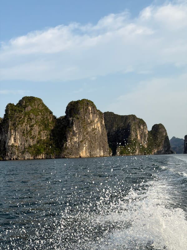 Tourist documents Ha Long Bay limestone formations from boat