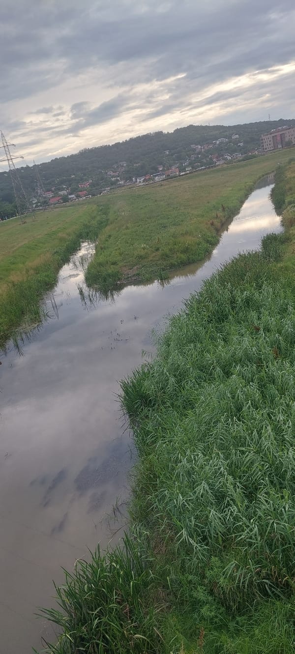 Muddy river and open skies on Iași's quiet outskirts
