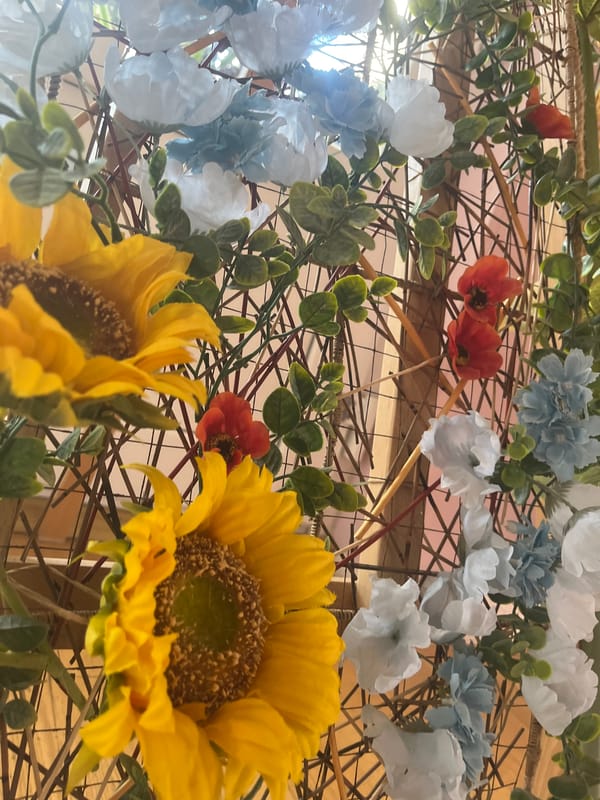 Morning indoor scenes documented in Saint Petersburg classroom, plant spaces