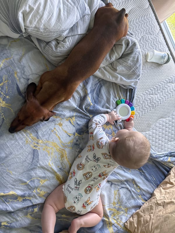 Family moments captured with baby, mother, dachshund in Russian home