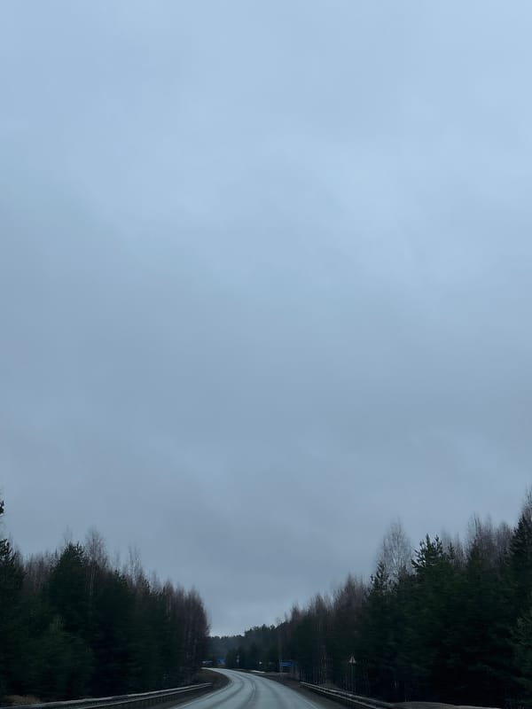 Overcast morning travel scene documented near Chaikovsky, Russia