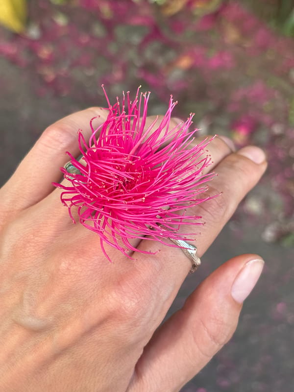 Nature-themed silver rings photographed in Kuta Selatan morning