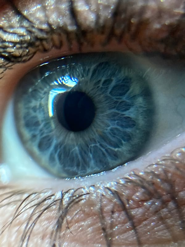 Macro photography session: eyes, shells, flowers, and textures