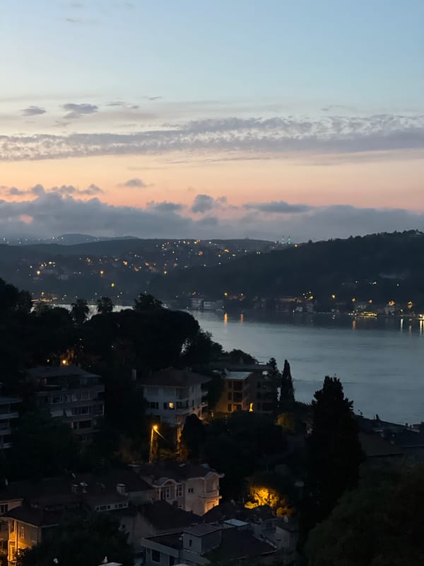 Bosphorus twilight and a curious tabby cat in Beşiktaş