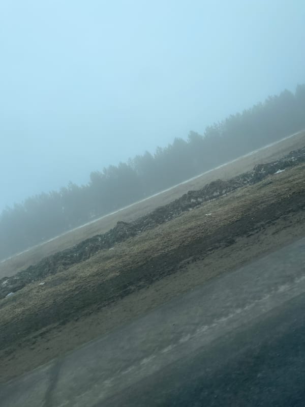 Dense fog reduces visibility in Kolosovka, Russia