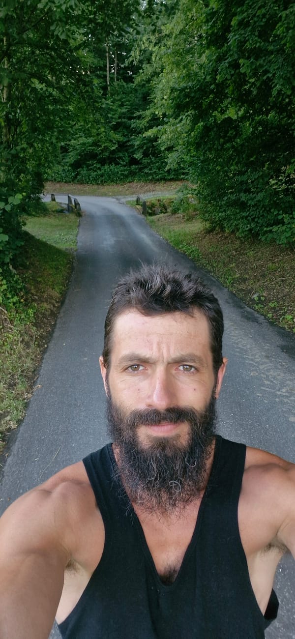 Afternoon outdoors: hill country wandering, a cat, and random moments