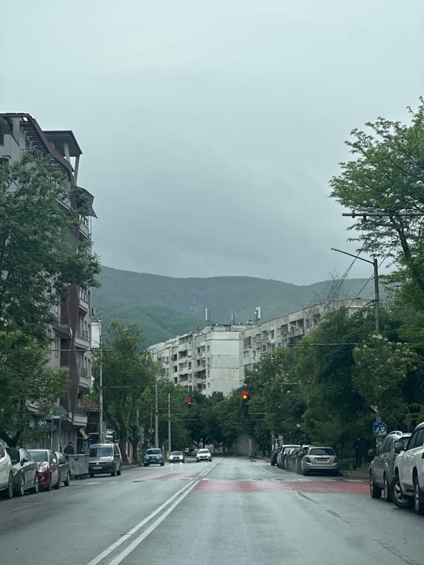 Wet morning street scene captured in Sofia residential area