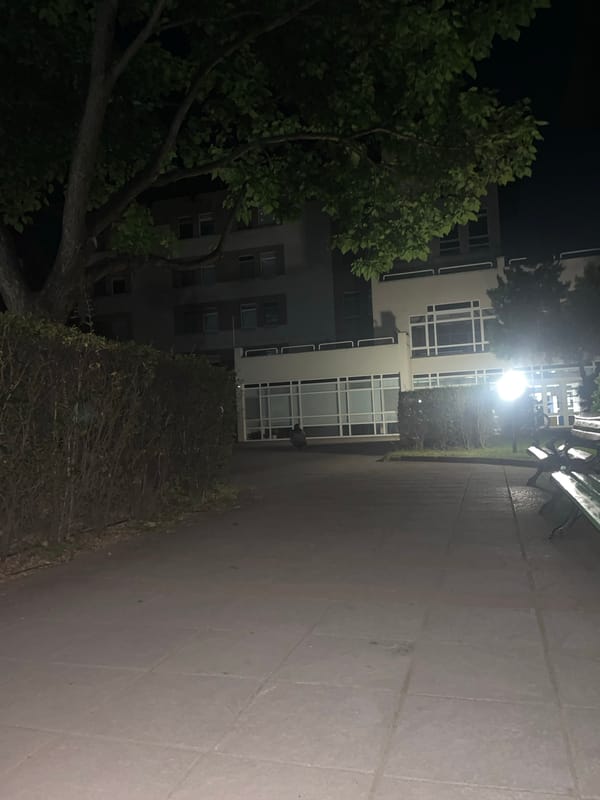Nighttime street walk documented in Blagoevgrad, Bulgaria