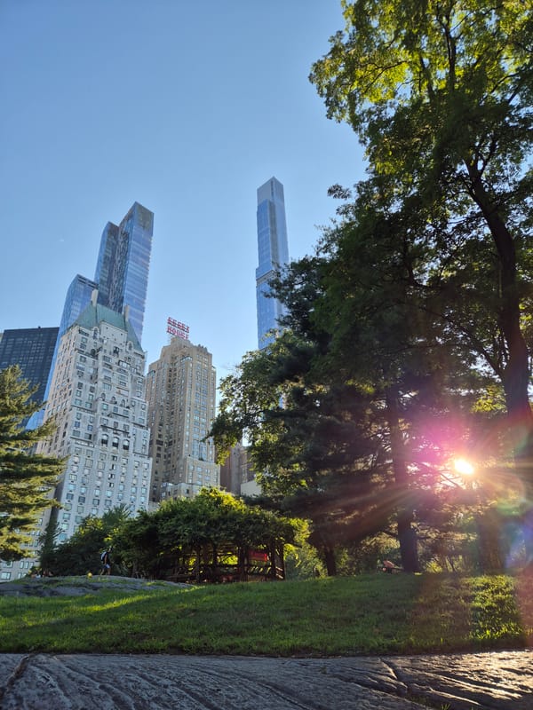 Central Park lawn meets Manhattan skyline on a sunny August evening