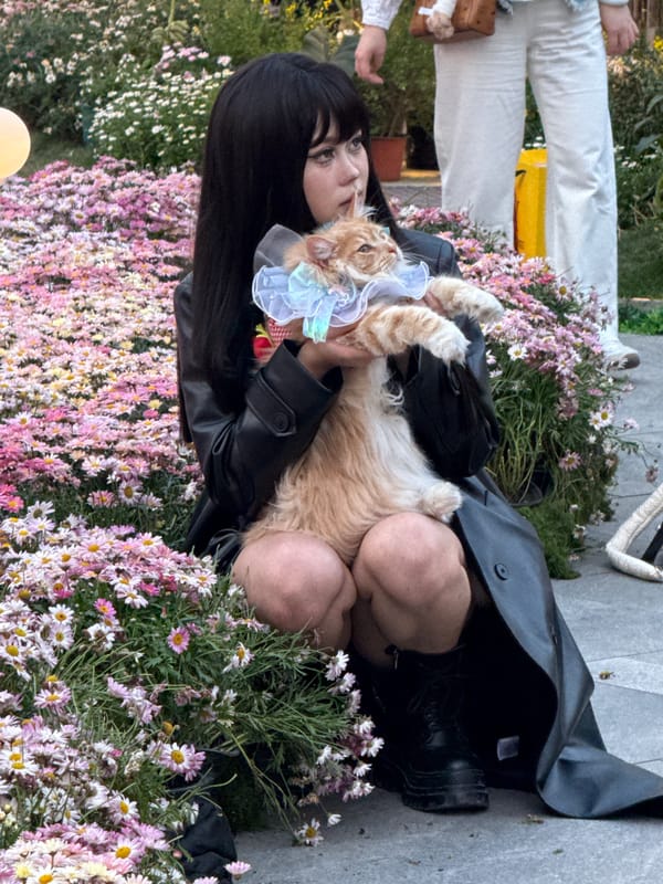 Street performers draw crowd in busy Chongqing public space